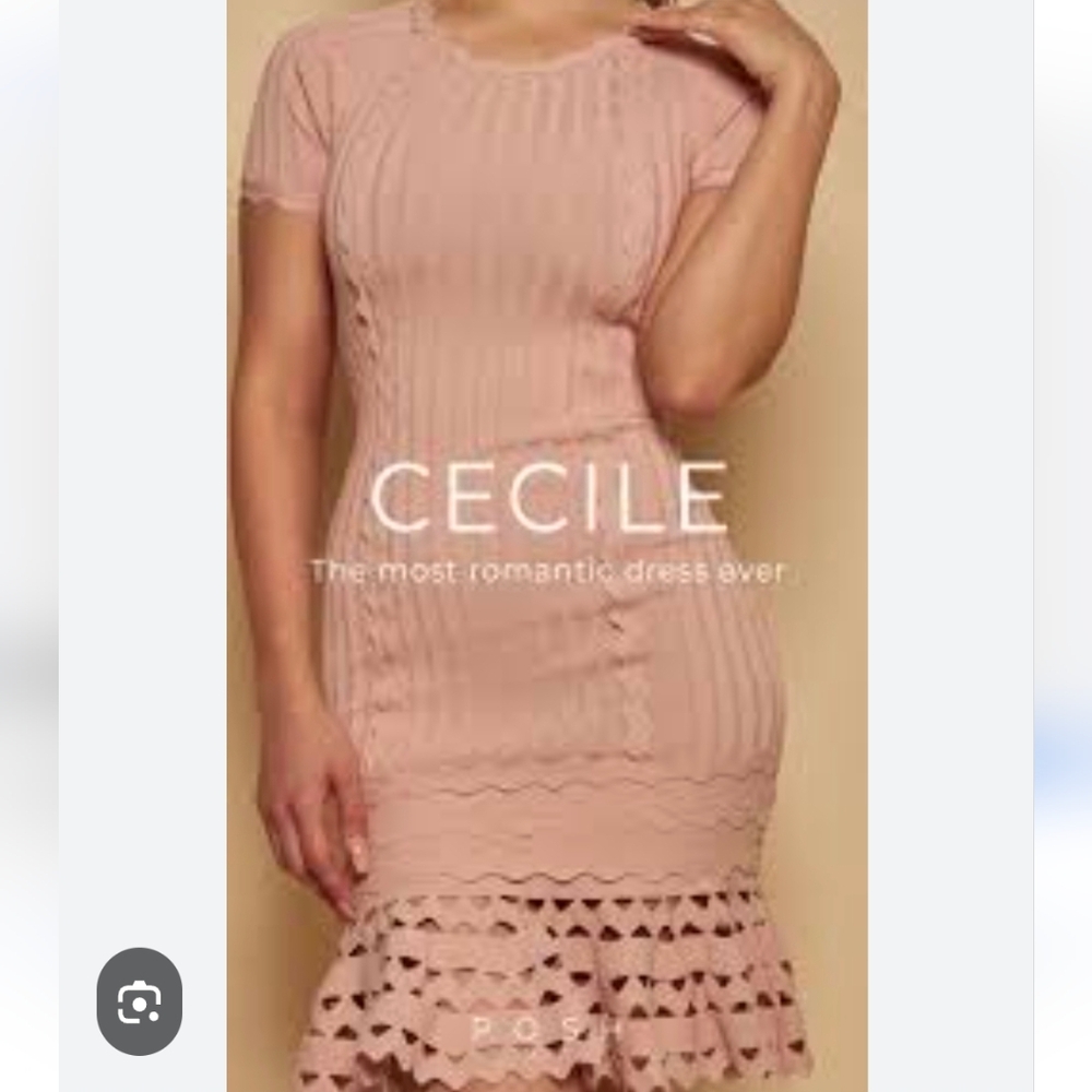 Posh MIA Pink knit dress